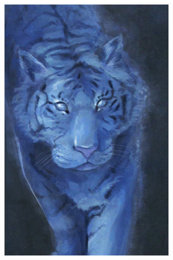 Tiger, drawing by Kayla Woodside